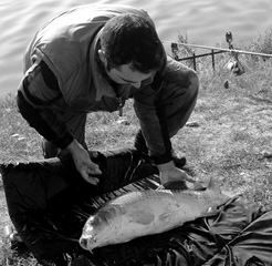 Moara Vlasiei 2 8 - 9 sep.